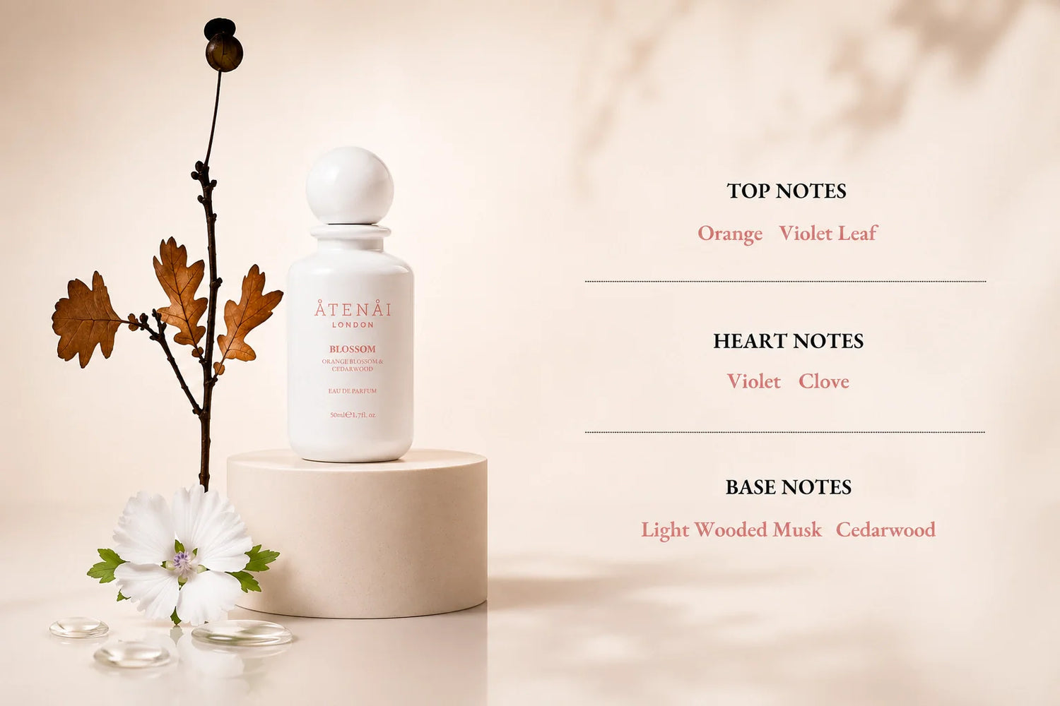 Fragrances and ingredients