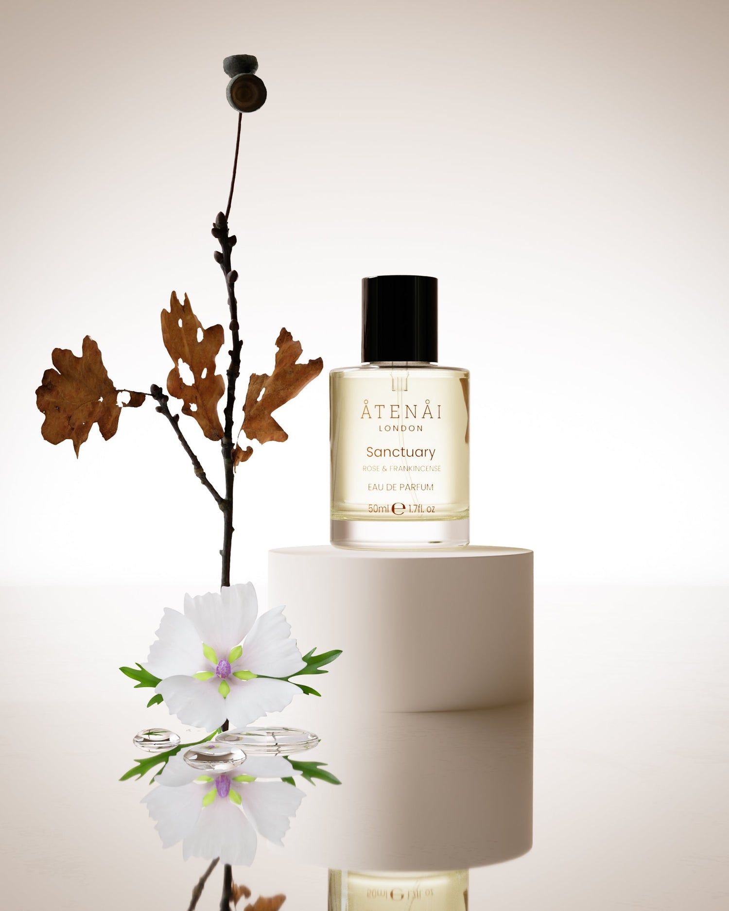Creative Director, The Process behind Body Care