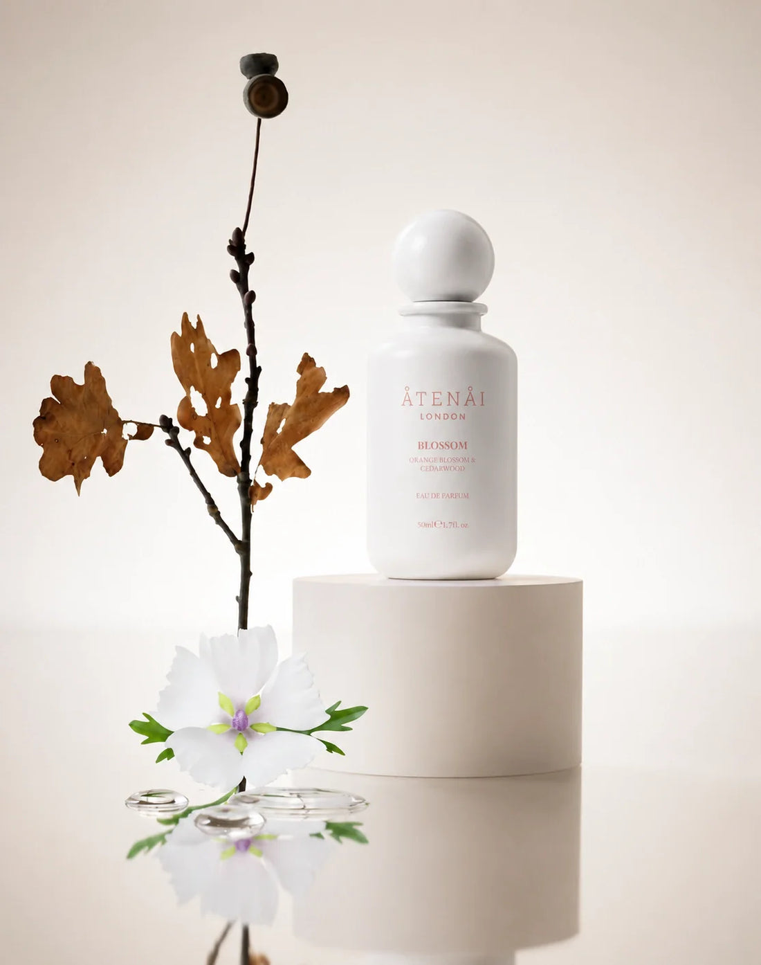 Creative Director, The Process behind Body Care