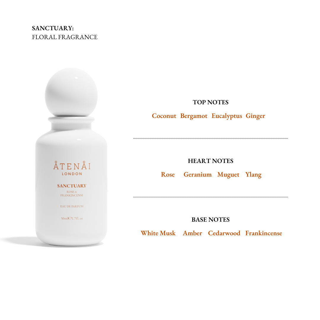 Perfume &amp; Hands Duo Set - Hand Cream