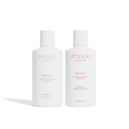 Blossom Hair Duo Set